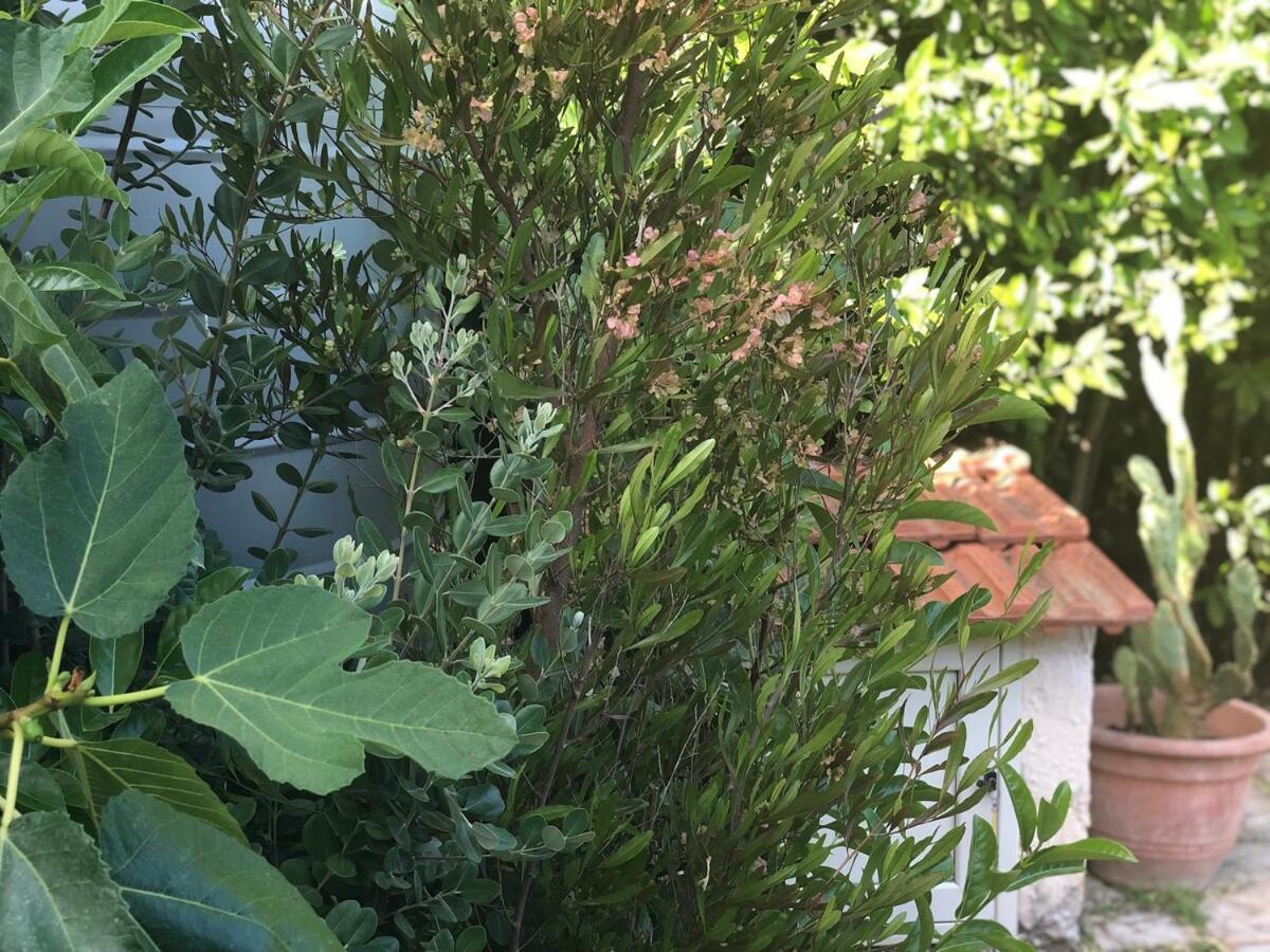 Le Tre Palme Villa Fontane Bianche Kültér fotó